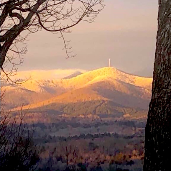 Meet your Posher, Jennie - Picture 1 of 1